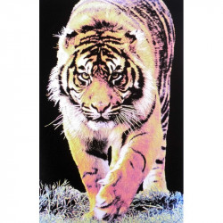 7249 - Tigre