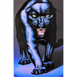7160 - Panther