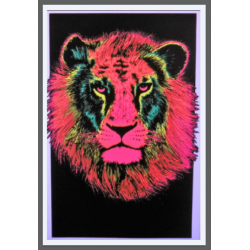 775 - Tete de Lion