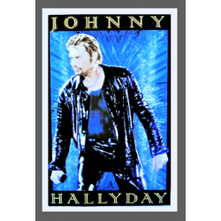 7373 - Johnny Haliday au stade