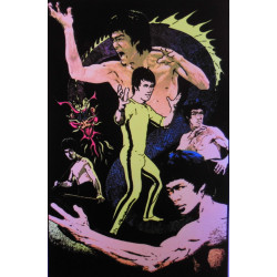 753 - Bruce Lee