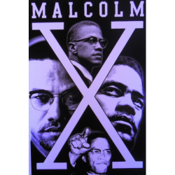 7424 - Malcolm X