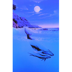7222 - Baleines