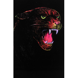 701 - COUGAR