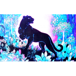 740 - Bagheera