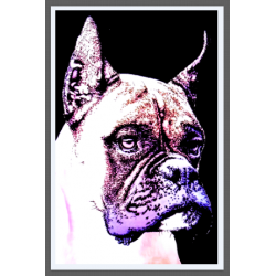7218 - Boxer