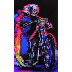 776 - Motard de l'enfer