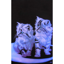7216 - Les chatons