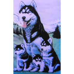 7283 - FAMILLE HUSKI