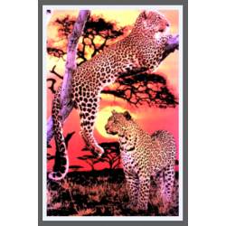 7368 - SAVANE