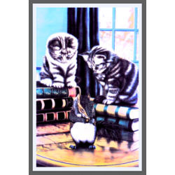 7307 - CHATONS