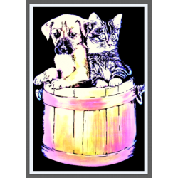 7256 - CHIEN ET CHAT
