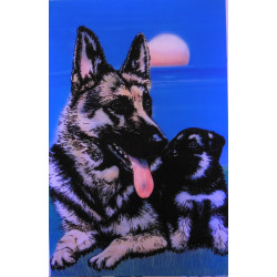 7289 - BERGER ET CHIOT