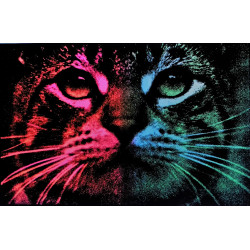780 - NEON CAT