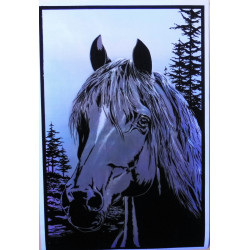 7215 - PRINCE NOIR