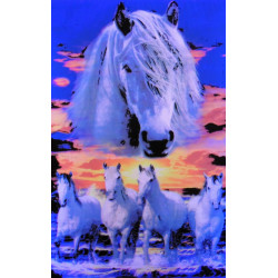 7382 CAMARGUE