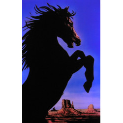 Image réalisée par un peintre