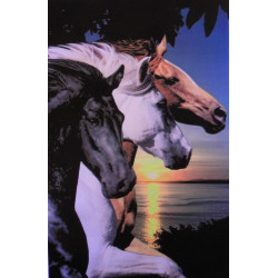 7331 CHEVAUCHEE NOCTURNE