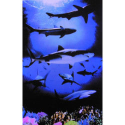 7418 - REQUINS
