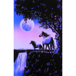 7260 CHEVAUX APPALOOSA