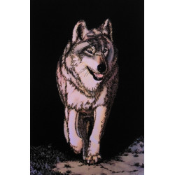7224 - LOUP