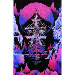 706 - BATEAU DE GLACE