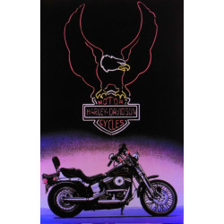 7277 - HARLEY DAVIDSON