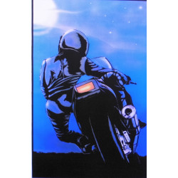 7265 MOTARD