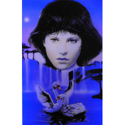 7276 - PAYSAGE DES CYGNES