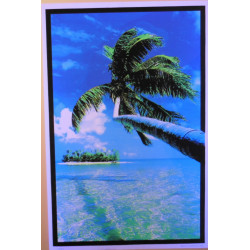7443 - COCOTIERS
