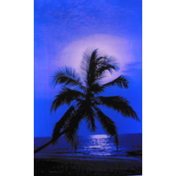 7422 - BLEU APRES MIDI
