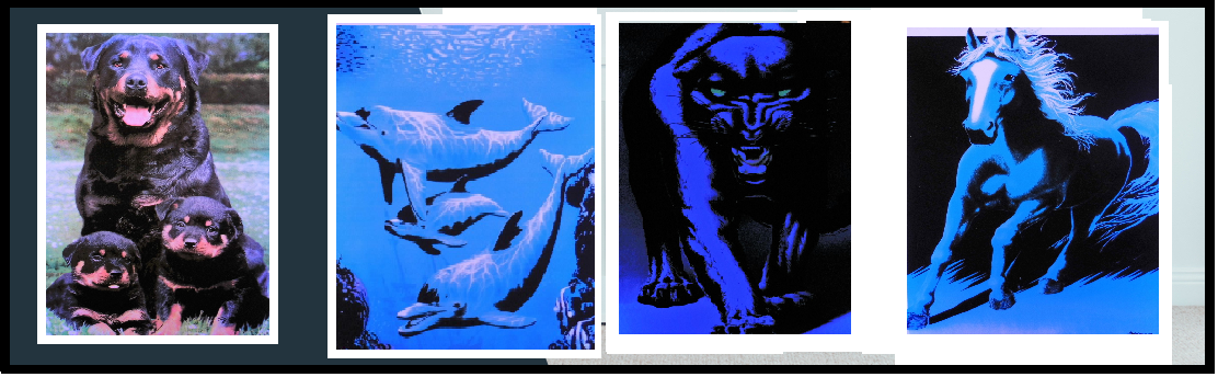Posters